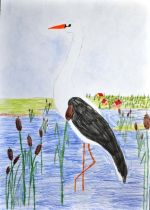 Končoková Daniela.jpg